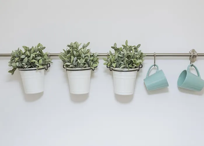 River View - Old Апартаменти Бухарест